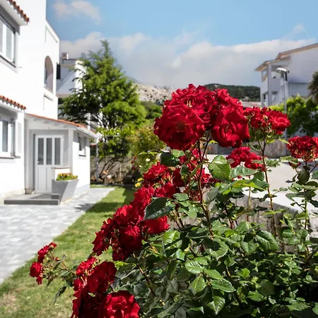 Diana Apartman *